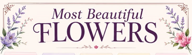 Decorative banner reading Most Beautiful Flowers, framed with painted lavender and roses