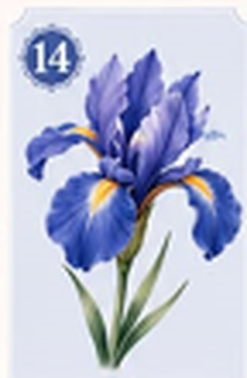 A blue iris flower