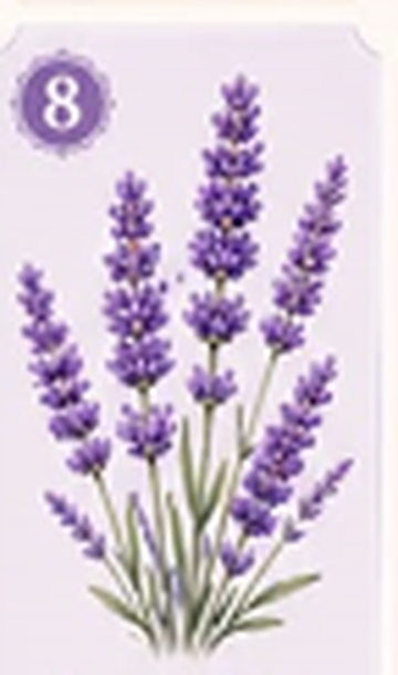 A sprig of purple lavender