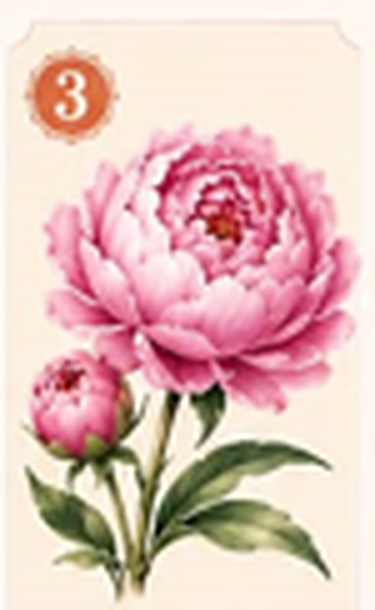 A layered pink peony flower