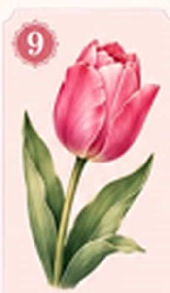 A single red tulip